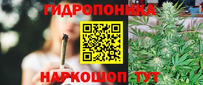 хмурый Краснодар