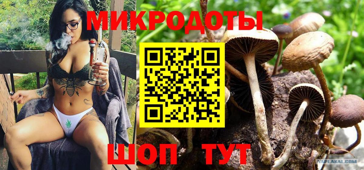 Галлюциногенные грибы мухоморы Костомукша